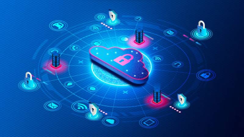 河口区系统软件开发：Python引领，筑牢企业数字化根基
